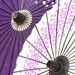 雨対策は万全ですか?雨でも着物で楽しくおでかけするポイントをチェック!