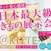 予約締切ました!日本最大級のきもの展示会開催!@東京KITTE