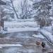 【雪が降っても大丈夫!】着物を守る対策を!