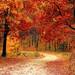 全国の紅葉スポットでSNS映えを目指そう!